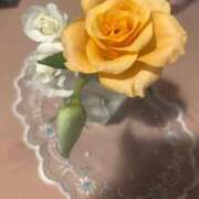 ヒメ日記 2025/09/15 09:50 投稿 ゆかり 完熟ばなな 上野店