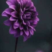 ヒメ日記 2025/10/09 21:20 投稿 ゆかり 完熟ばなな 上野店