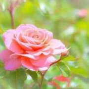 ヒメ日記 2025/11/10 09:04 投稿 ゆかり 完熟ばなな 上野店