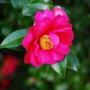 ヒメ日記 2025/11/11 09:44 投稿 ゆかり 完熟ばなな 上野店