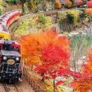 ヒメ日記 2025/11/19 10:44 投稿 ゆかり 完熟ばなな 上野店