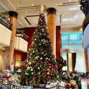 ゆかり おはようございます❄️ 完熟ばなな 上野店