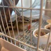 ヒメ日記 2025/12/23 21:36 投稿 ゆかり 完熟ばなな 上野店