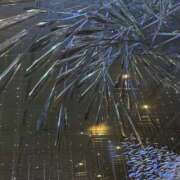 ヒメ日記 2024/12/20 12:10 投稿 きらら 奥鉄オクテツ大阪