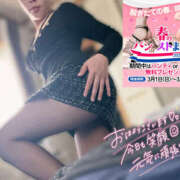 ヒメ日記 2026/04/01 12:39 投稿 かなで 若妻淫乱倶楽部 古河店