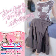 ヒメ日記 2026/04/11 12:49 投稿 かなで 若妻淫乱倶楽部 古河店