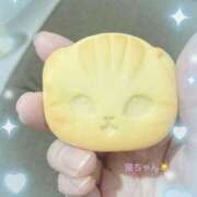 ヒメ日記 2025/02/24 18:53 投稿 絵真（えま） 今日、私はあなたの部下（マーベリックグループ）