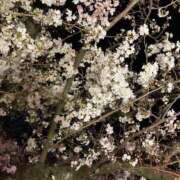 ヒメ日記 2025/04/07 19:08 投稿 絵真（えま） 今日、私はあなたの部下（マーベリックグループ）