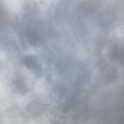 ヒメ日記 2025/11/14 13:38 投稿 絵真（えま） 今日、私はあなたの部下（マーベリックグループ）