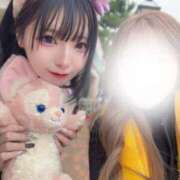 ヒメ日記 2025/11/15 11:21 投稿 本田るか エルドール