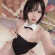 本田るか 🐰 エルドール