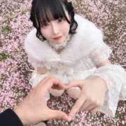 本田るか 🌸 エルドール