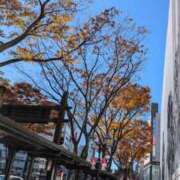 ヒメ日記 2024/12/14 00:05 投稿 戸根 MadameRest(マダムレスト)