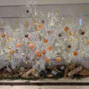 ヒメ日記 2024/12/24 05:03 投稿 戸根 MadameRest(マダムレスト)