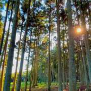 ヒメ日記 2025/01/27 12:31 投稿 戸根 MadameRest(マダムレスト)