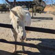 ヒメ日記 2025/02/06 10:54 投稿 戸根 MadameRest(マダムレスト)