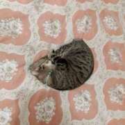 ヒメ日記 2025/02/12 10:10 投稿 戸根 MadameRest(マダムレスト)