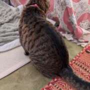 ヒメ日記 2025/02/13 23:55 投稿 戸根 MadameRest(マダムレスト)