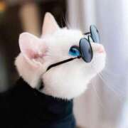 ヒメ日記 2025/02/15 23:51 投稿 戸根 MadameRest(マダムレスト)