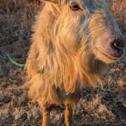 ヒメ日記 2025/02/16 20:08 投稿 戸根 MadameRest(マダムレスト)