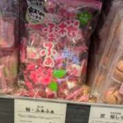 ヒメ日記 2025/02/20 11:07 投稿 戸根 MadameRest(マダムレスト)