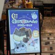 ヒメ日記 2025/02/20 13:19 投稿 戸根 MadameRest(マダムレスト)