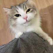 ヒメ日記 2025/02/28 10:47 投稿 戸根 MadameRest(マダムレスト)