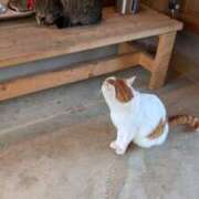 ヒメ日記 2025/03/03 23:26 投稿 戸根 MadameRest(マダムレスト)