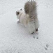 ヒメ日記 2025/03/05 13:39 投稿 戸根 MadameRest(マダムレスト)