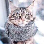 ヒメ日記 2025/03/08 10:11 投稿 戸根 MadameRest(マダムレスト)