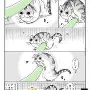 ヒメ日記 2025/03/13 18:31 投稿 戸根 MadameRest(マダムレスト)