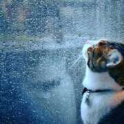 ヒメ日記 2025/03/16 11:49 投稿 戸根 MadameRest(マダムレスト)