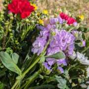 ヒメ日記 2025/03/22 23:26 投稿 戸根 MadameRest(マダムレスト)