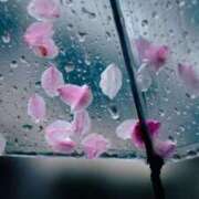 ヒメ日記 2025/03/29 06:07 投稿 戸根 MadameRest(マダムレスト)