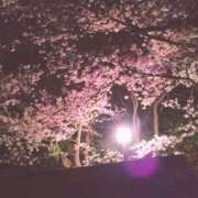 ヒメ日記 2025/03/31 13:51 投稿 戸根 MadameRest(マダムレスト)