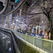 ヒメ日記 2025/04/02 23:25 投稿 戸根 MadameRest(マダムレスト)