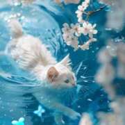 ヒメ日記 2025/04/04 10:26 投稿 戸根 MadameRest(マダムレスト)