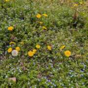 ヒメ日記 2025/04/07 10:54 投稿 戸根 MadameRest(マダムレスト)