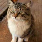 ヒメ日記 2025/04/10 10:10 投稿 戸根 MadameRest(マダムレスト)