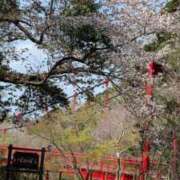 ヒメ日記 2025/04/10 23:31 投稿 戸根 MadameRest(マダムレスト)