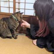 ヒメ日記 2025/04/11 00:08 投稿 戸根 MadameRest(マダムレスト)