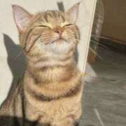 ヒメ日記 2025/04/24 10:34 投稿 戸根 MadameRest(マダムレスト)