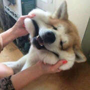 ヒメ日記 2025/05/04 23:57 投稿 戸根 MadameRest(マダムレスト)