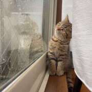 ヒメ日記 2025/05/07 03:51 投稿 戸根 MadameRest(マダムレスト)