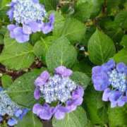 ヒメ日記 2025/05/10 10:23 投稿 戸根 MadameRest(マダムレスト)