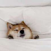 ヒメ日記 2025/05/16 05:29 投稿 戸根 MadameRest(マダムレスト)