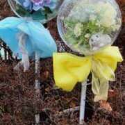 ヒメ日記 2025/06/10 04:06 投稿 戸根 MadameRest(マダムレスト)