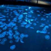 ヒメ日記 2025/06/26 14:27 投稿 戸根 MadameRest(マダムレスト)