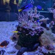 ヒメ日記 2025/06/26 22:43 投稿 戸根 MadameRest(マダムレスト)