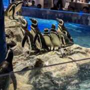 ヒメ日記 2025/06/26 23:47 投稿 戸根 MadameRest(マダムレスト)